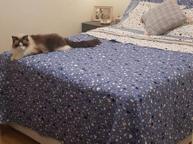 Apartamento para Venda em São Paulo - 5