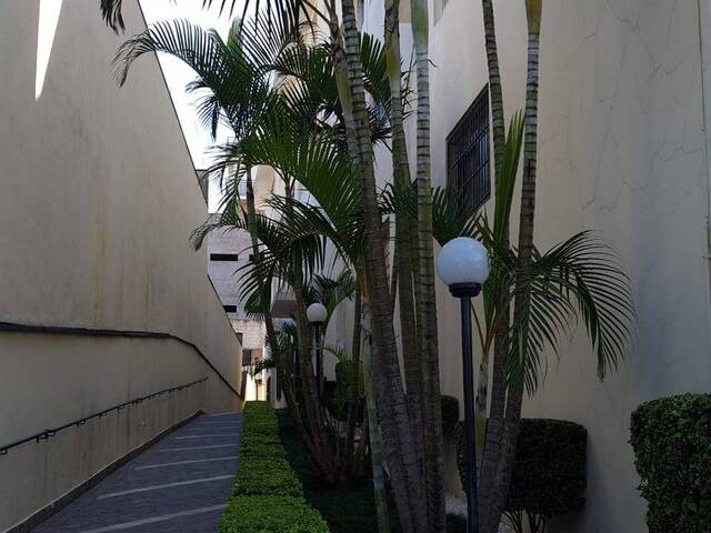 #467 - Apartamento para Locação em São Paulo - SP