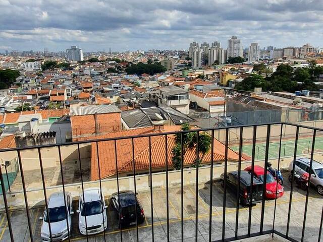 Apartamento para Locação em São Paulo - 5