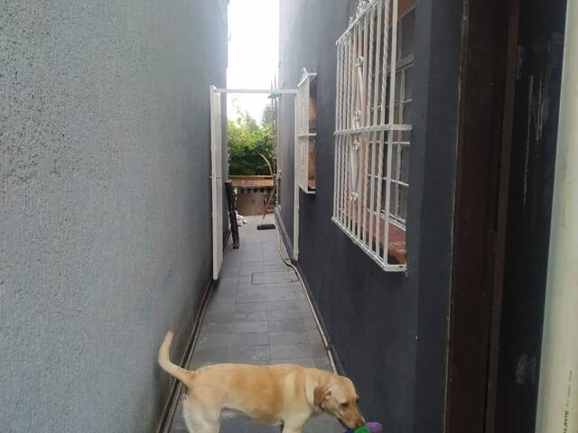 Casa para Locação em São Paulo - 4